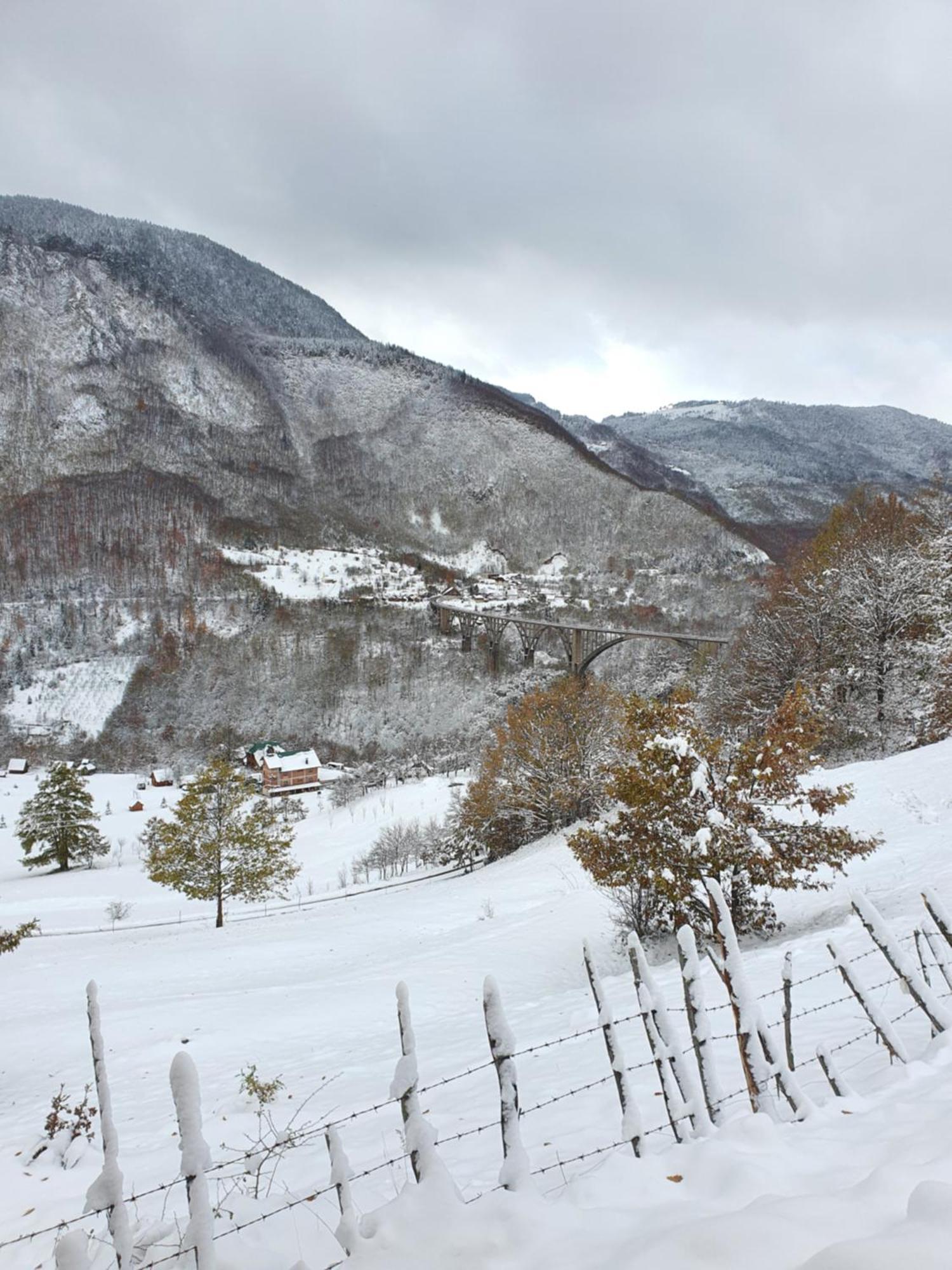 Etno Villas Tara&Petra Žabljak Dış mekan fotoğraf